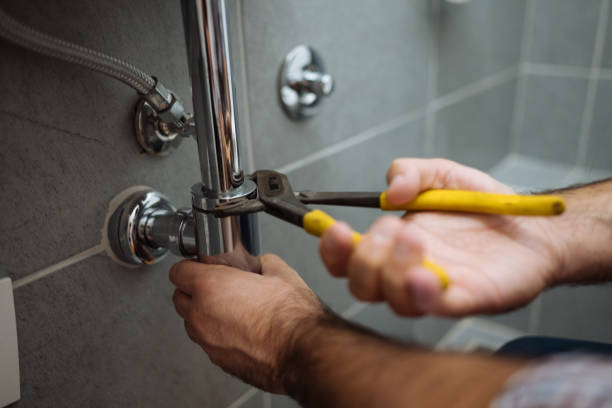 Best Plumbing Inspection Services  in Dayton, NV